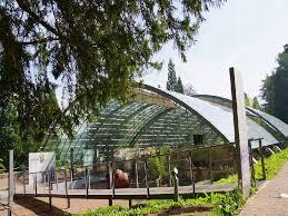 Römische Badruine Badenweiler